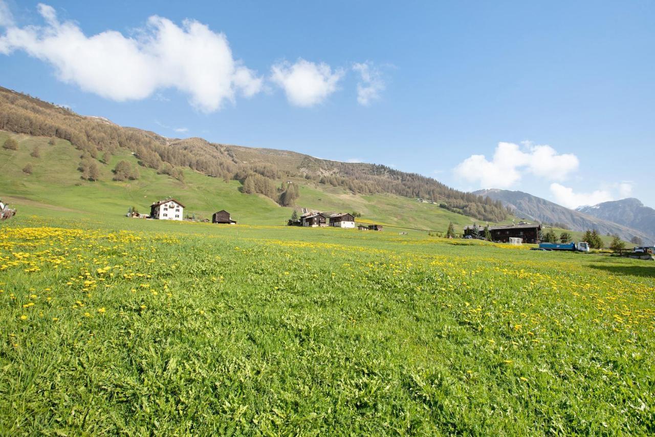 Baita Truzz Appartamento Valle Livigno Eksteriør billede